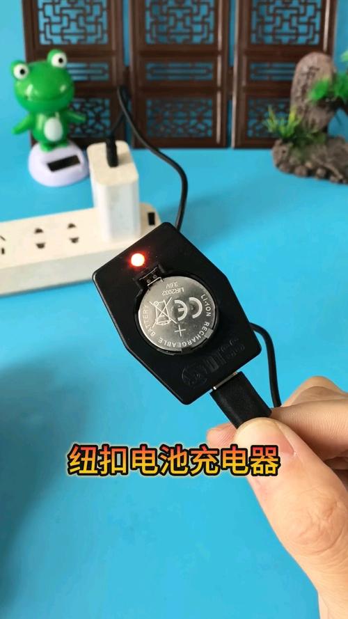 纽扣电池充电器 小身材大作用，你选对了吗？
