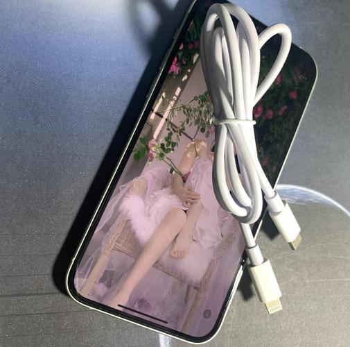iPhone 13 充电器头 耐用快充神器，让充电快人一步